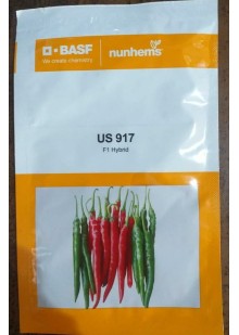  US 917 Chilli
